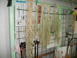 稲を干す